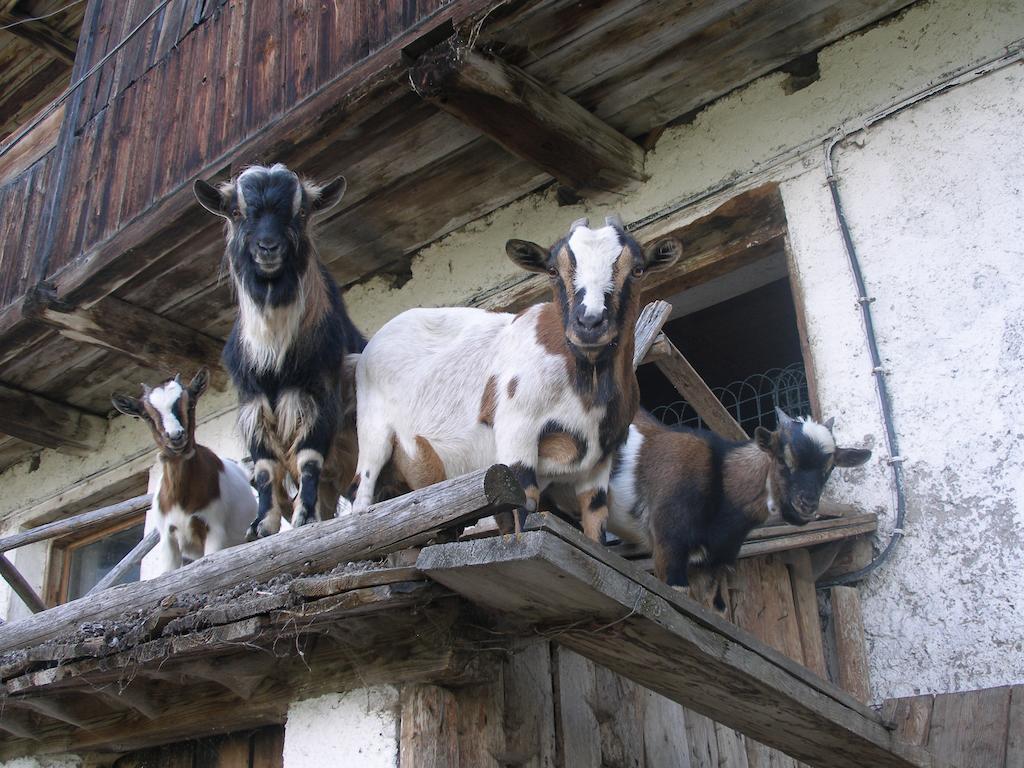Oberschoellberghof Lutago Exterior photo